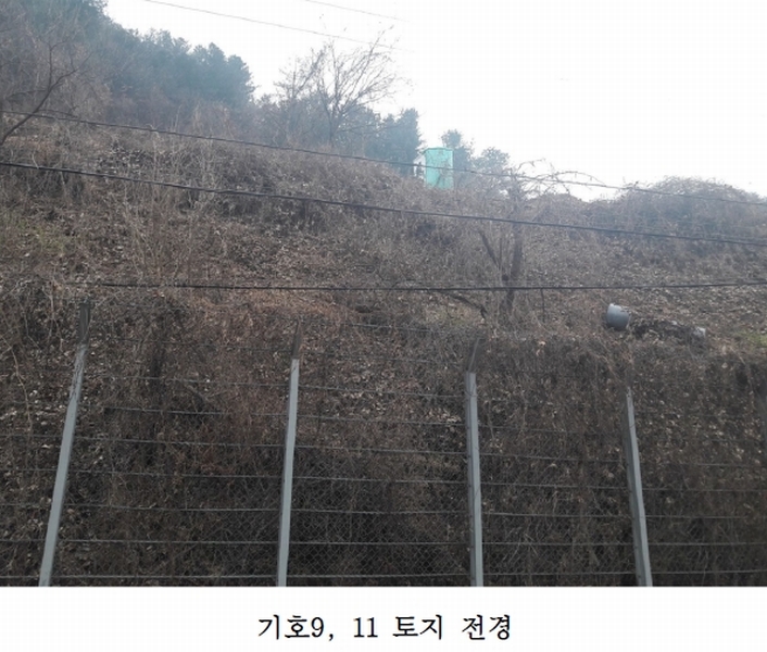 사진 5