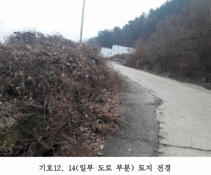 사진 7