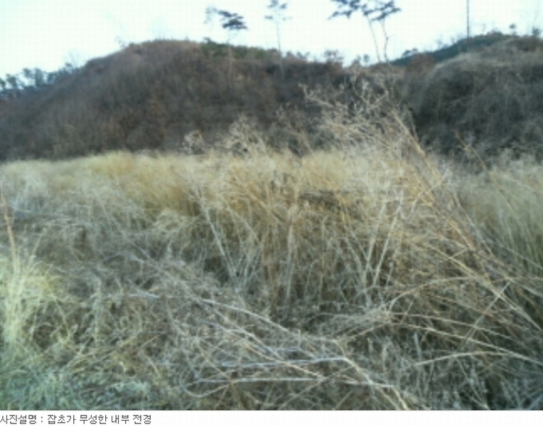 사진 6