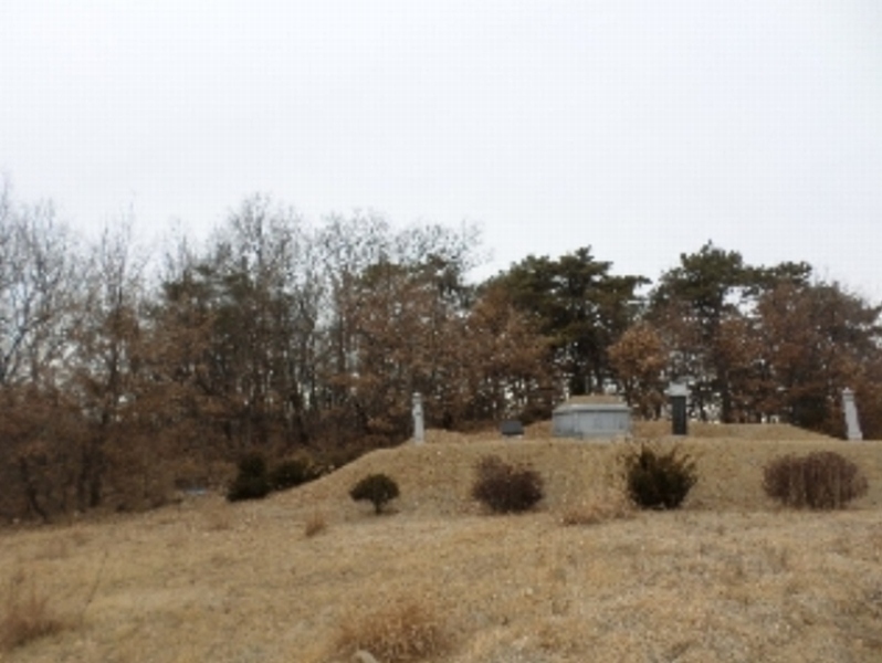 사진 6