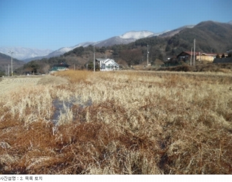 사진 6