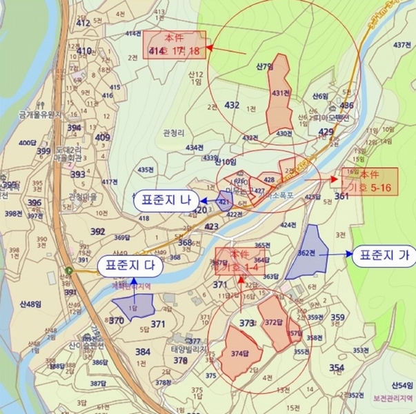 사진 7