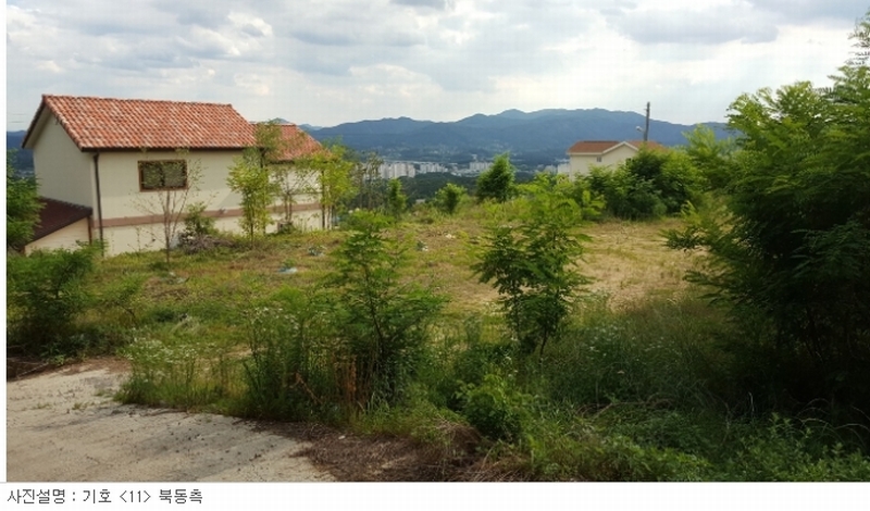 2018타경3958(10)