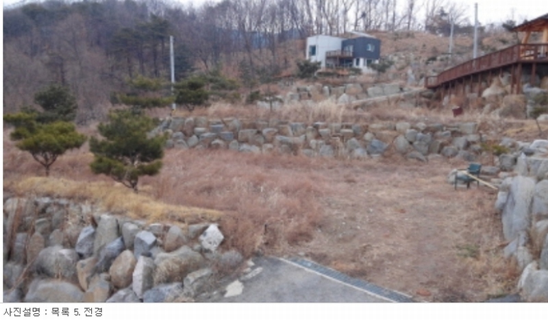 사진 15