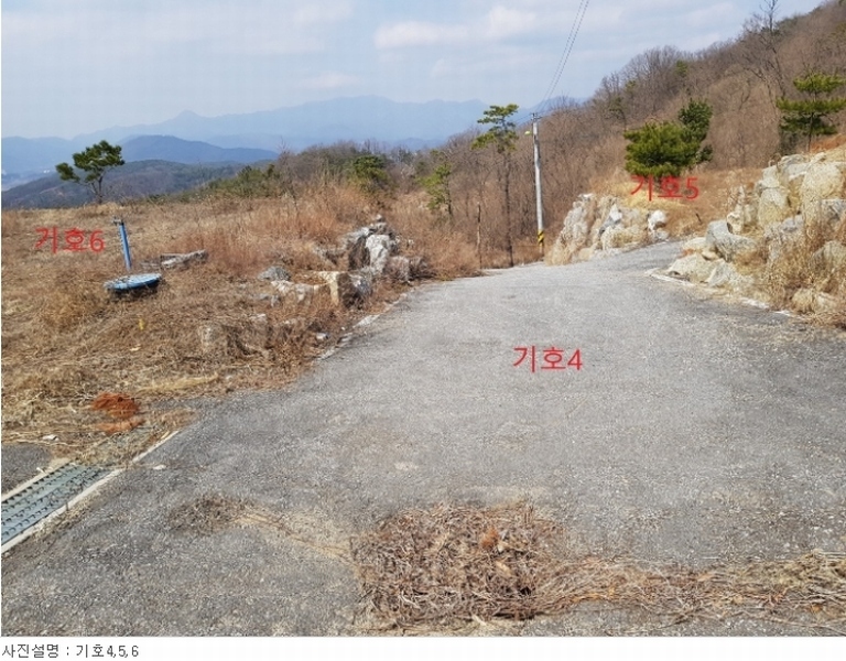 사진 5