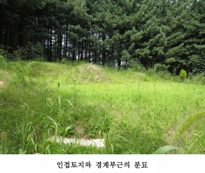 사진 4