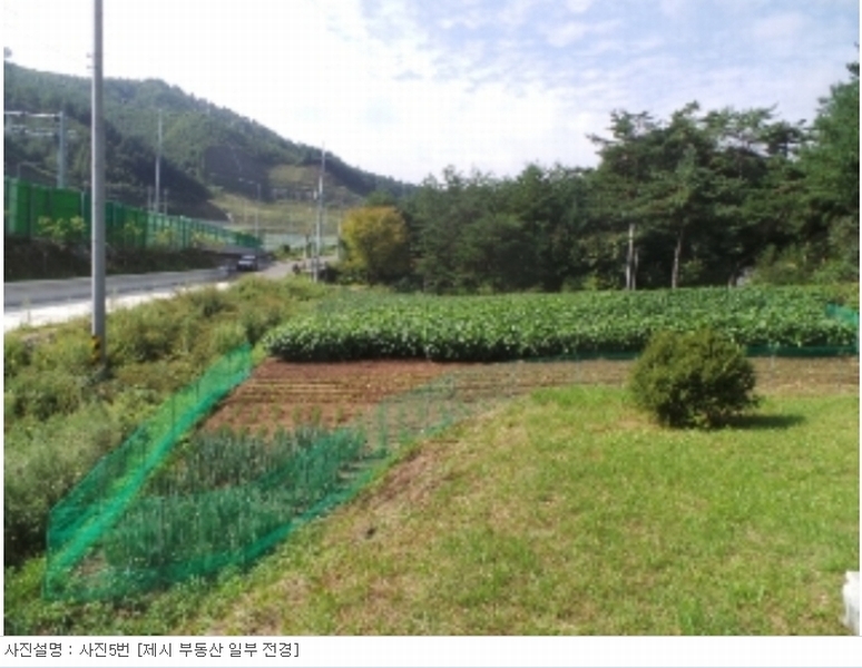 사진 9