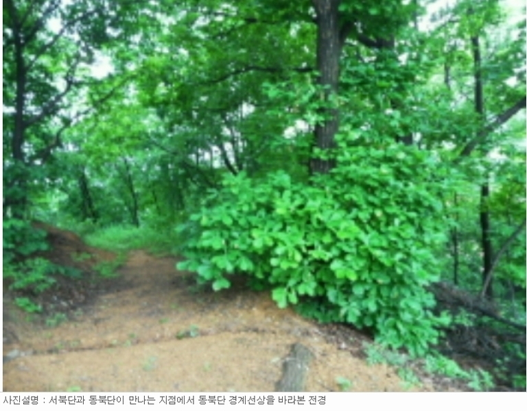 사진 14