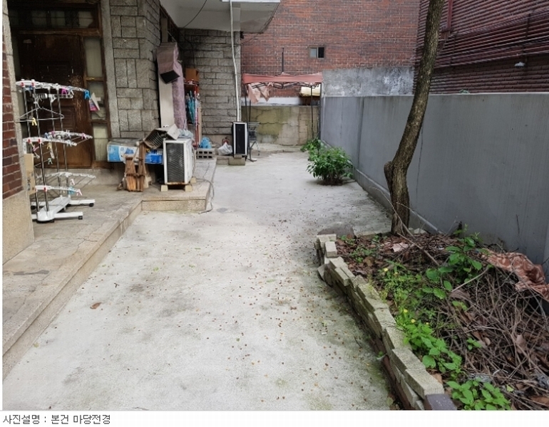 사진 10