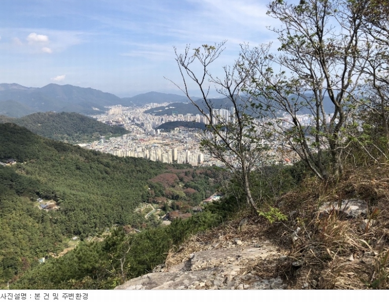 사진 3
