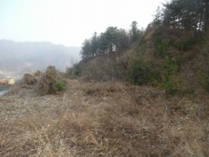 사진 7