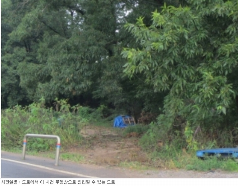 사진 10