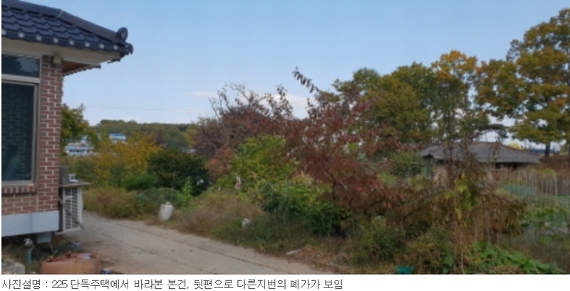 사진 12
