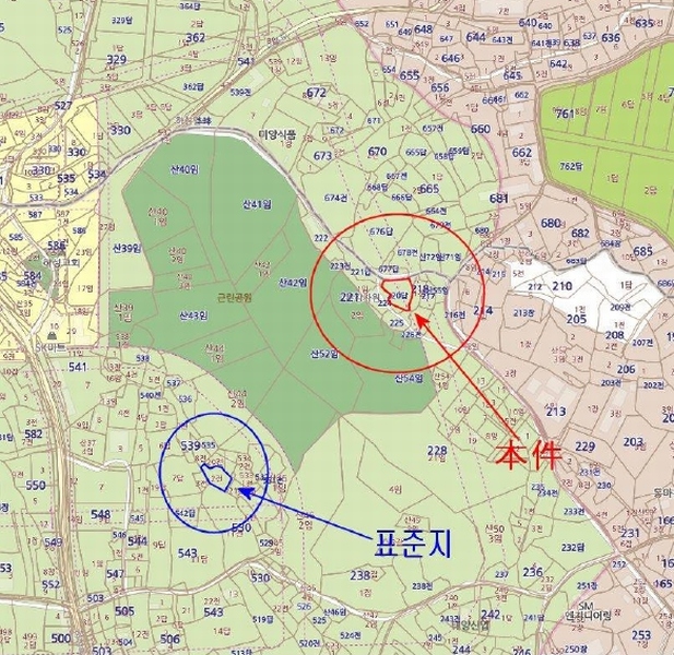 사진 13