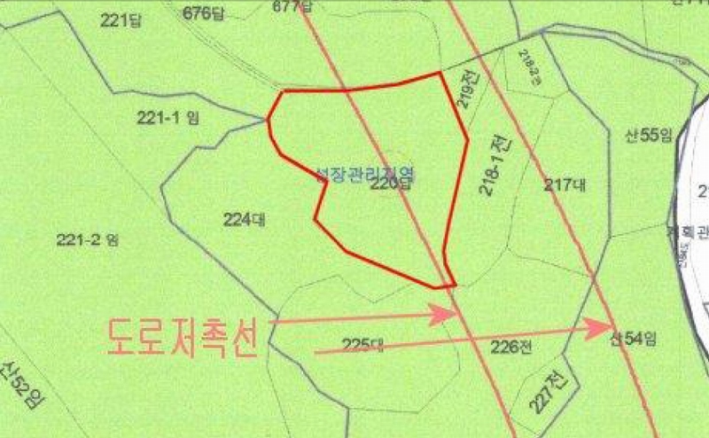 사진 14