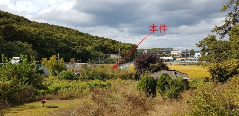 사진 2