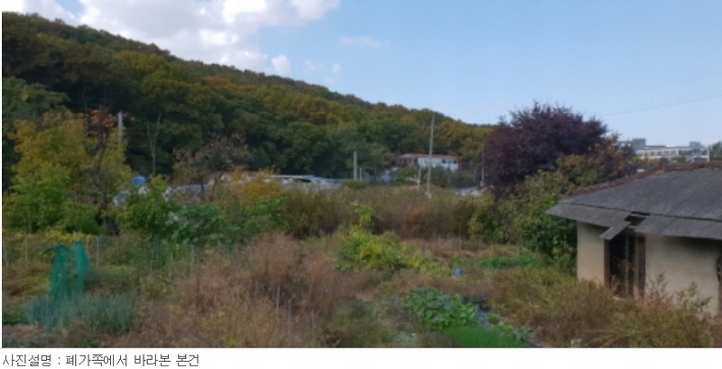 사진 8