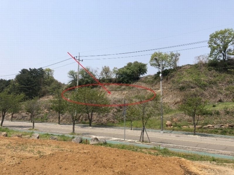 2018타경8876