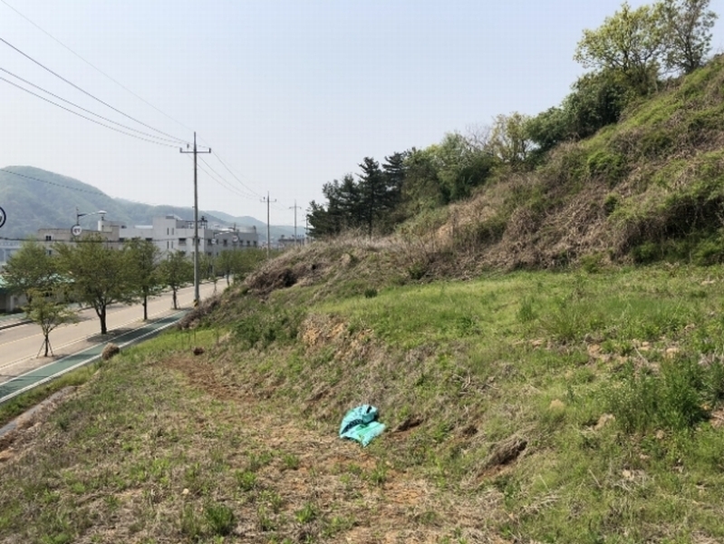 사진 3