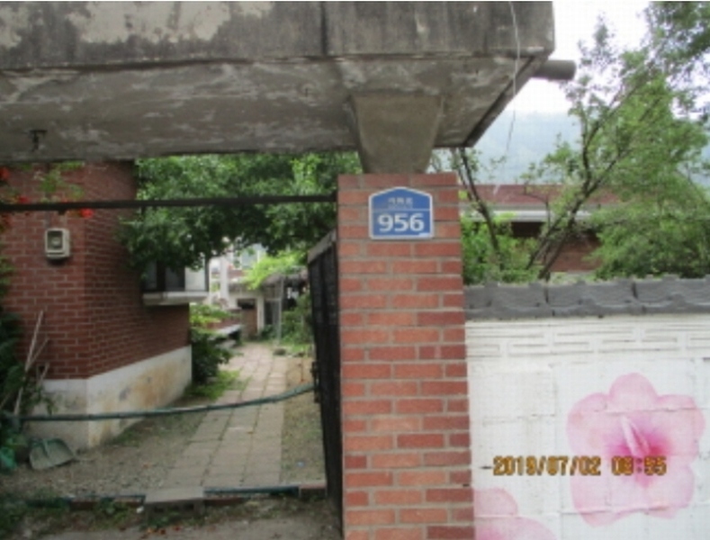 사진 11