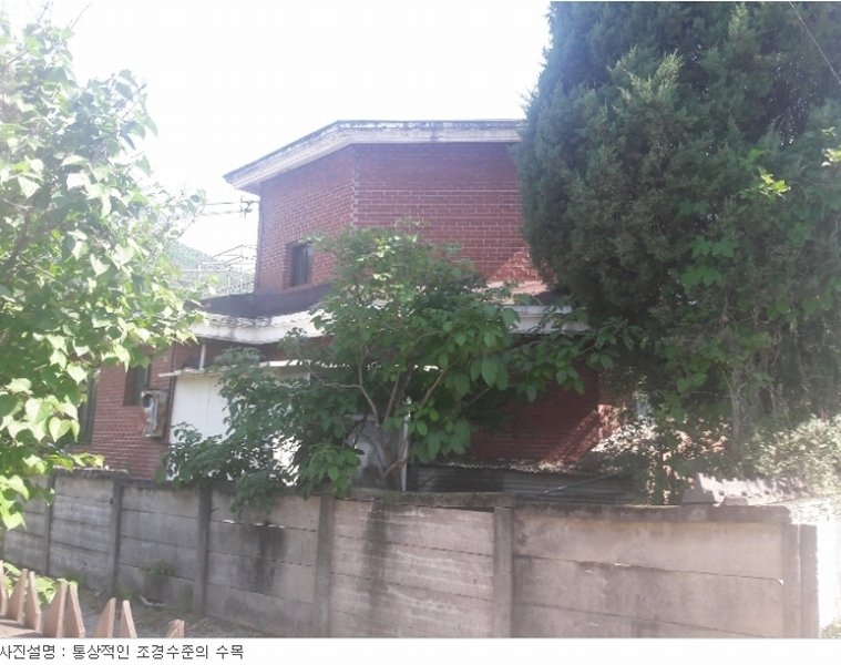 사진 12