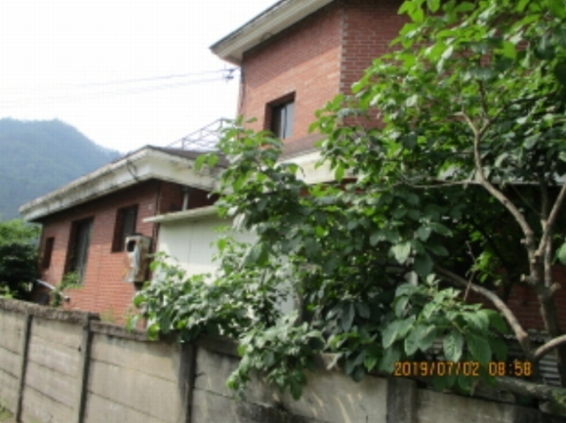 사진 3