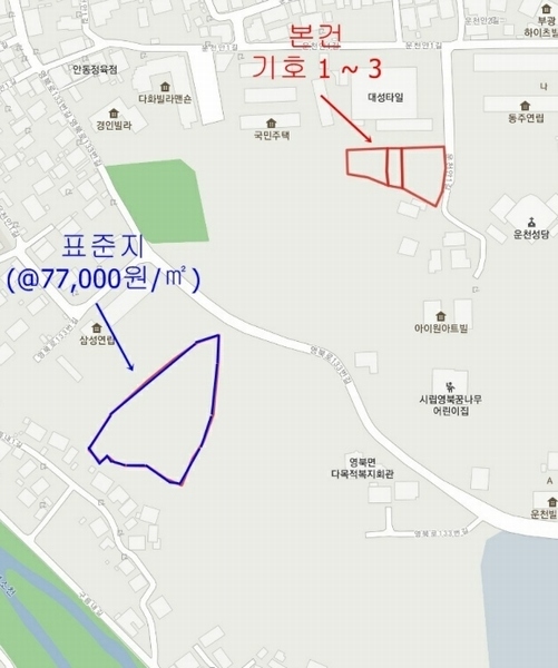 사진 7