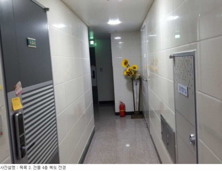 사진 29