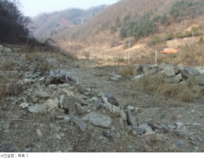 사진 10