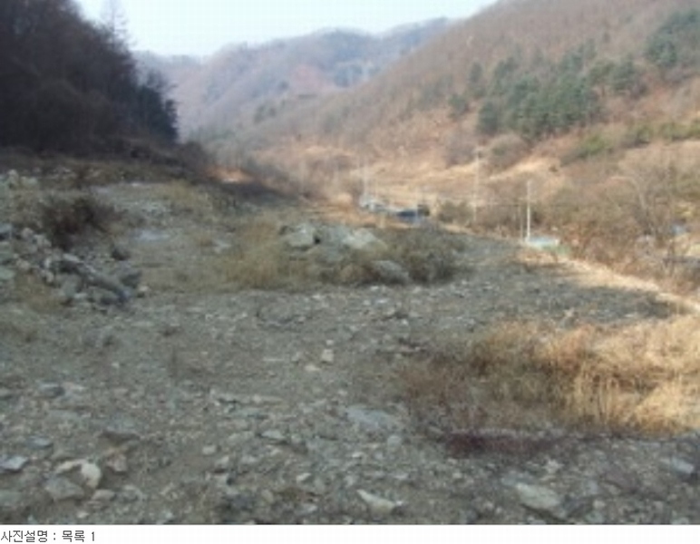 사진 13