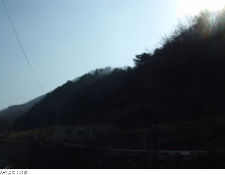 사진 9