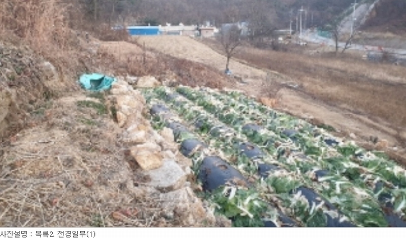 사진 14