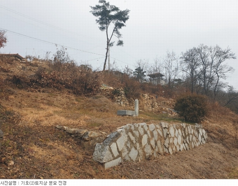 사진 19