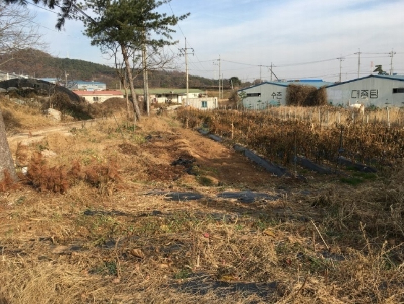2019타경25201