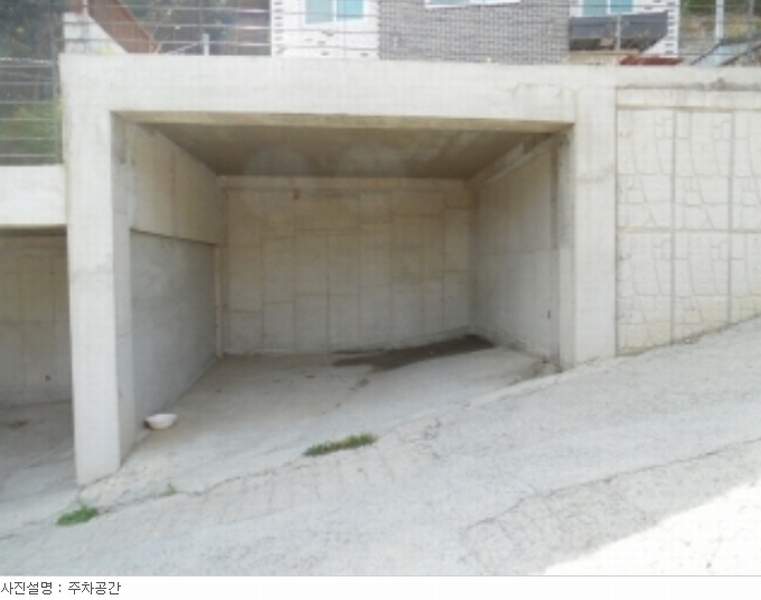 사진 13