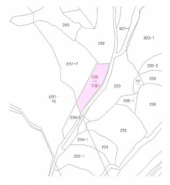 사진 10