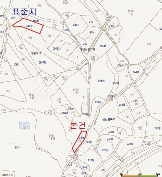 사진 9