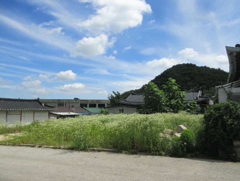 2019타경32779