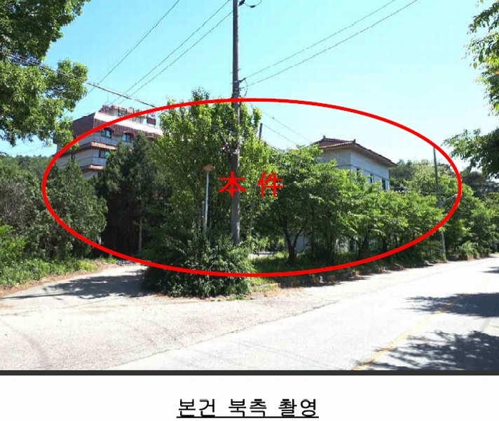 사진 6