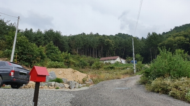 2019타경4221