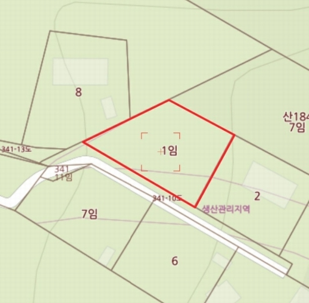 사진 5