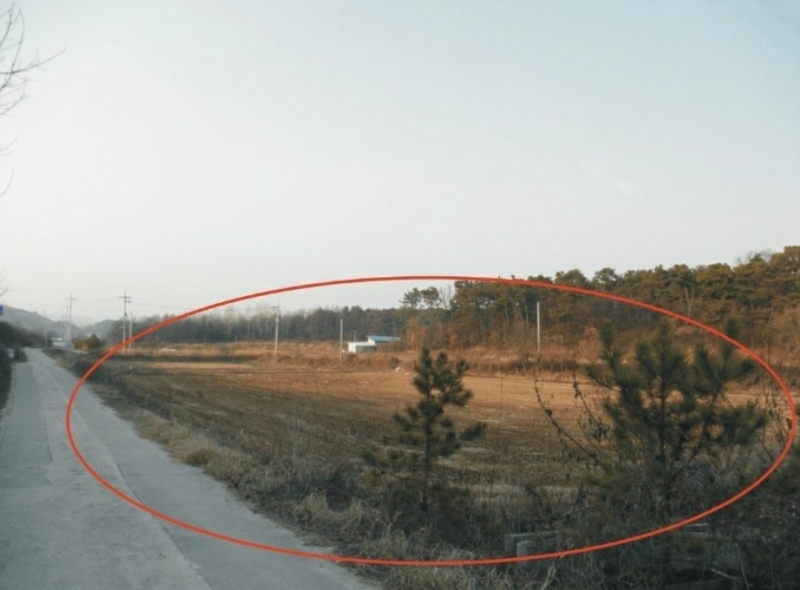 2019타경451