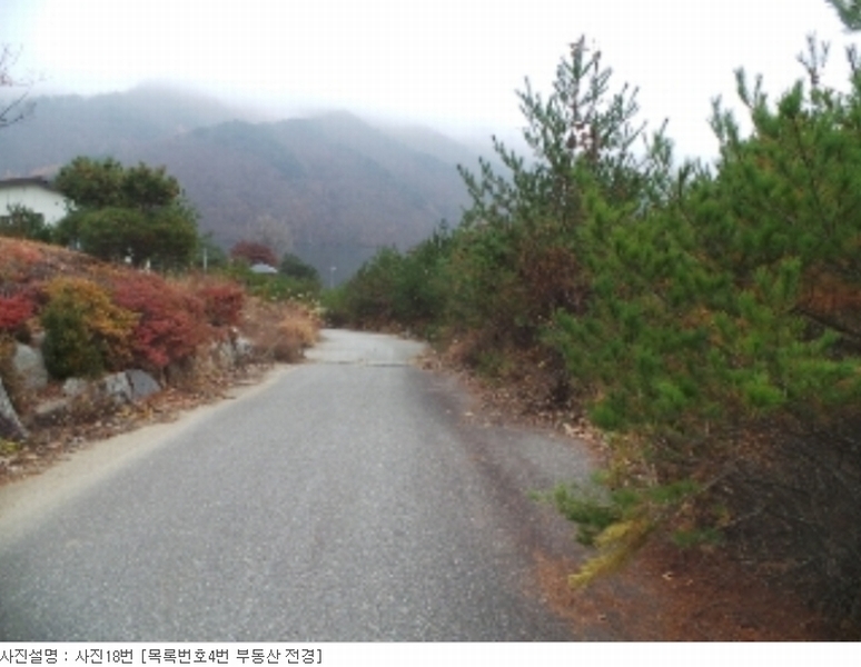 사진 24
