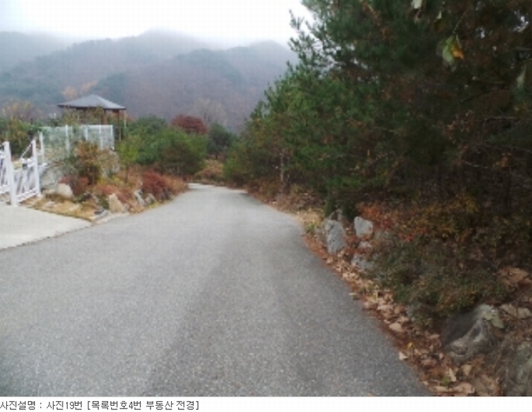 사진 25