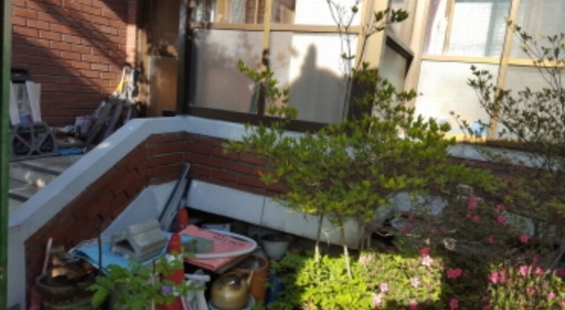 사진 10