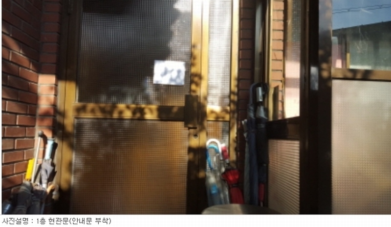 사진 13
