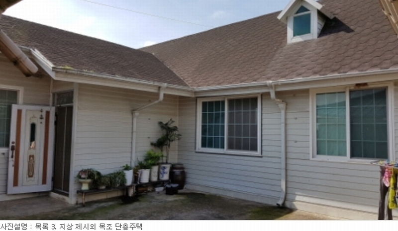 사진 13