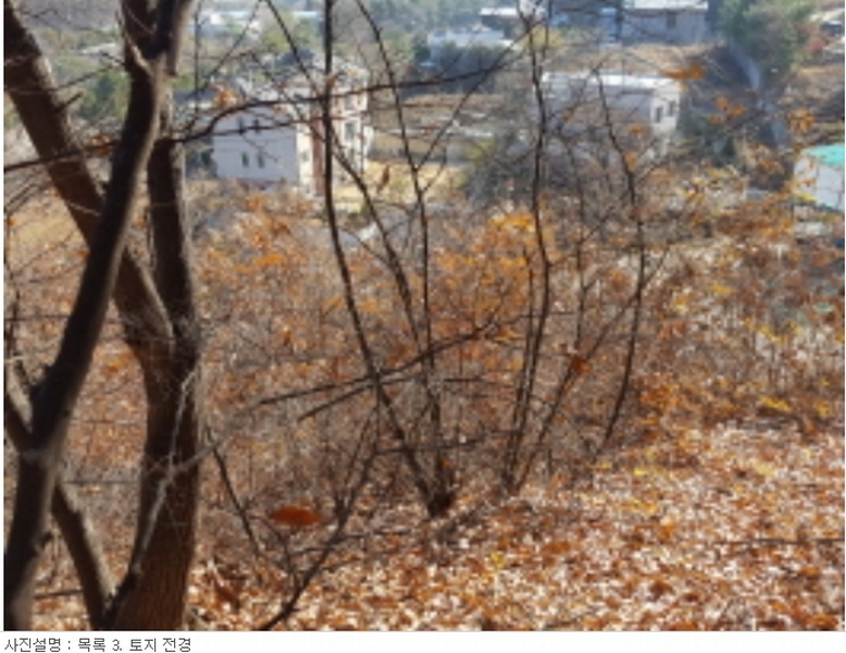 사진 4