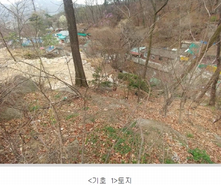 사진 3