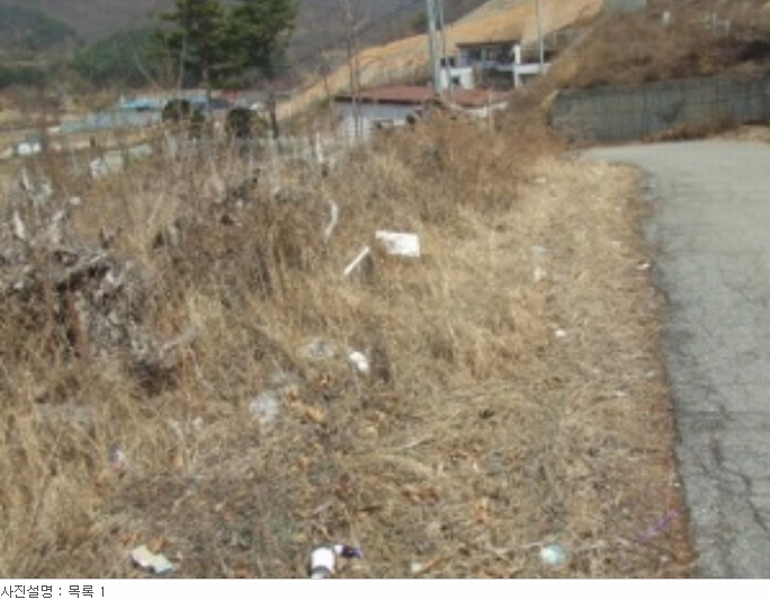 사진 11